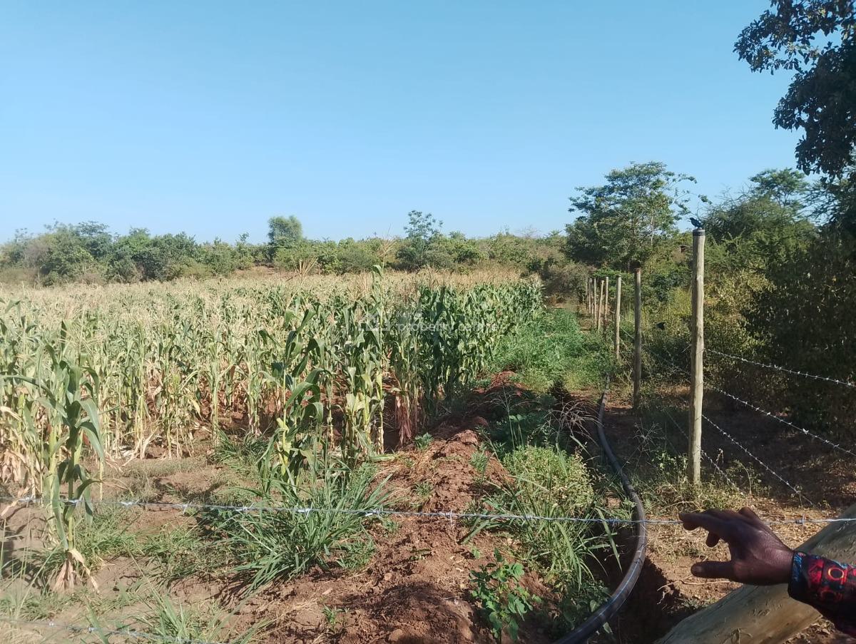 Prime Farming Land, Makutano Mwea, Mwea, Embu, Mixed-use Land for Sale
