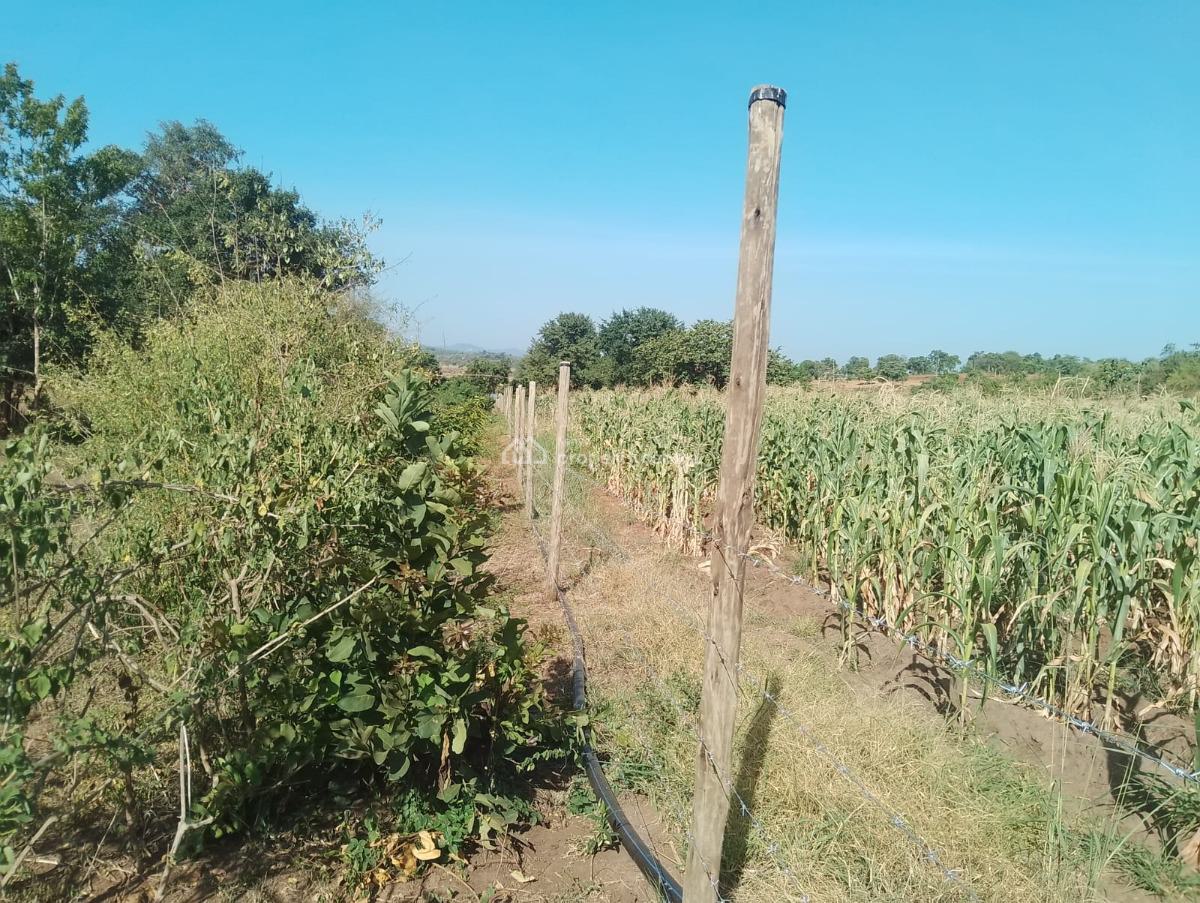 Prime Farming Land, Makutano Mwea, Mwea, Embu, Mixed-use Land for Sale