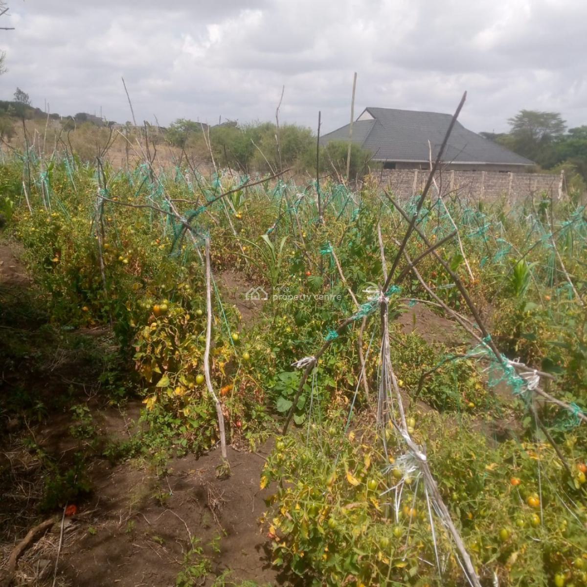 Prime Land for Development, Juja Farm Gikumari, Juja, Kiambu, Land for Sale