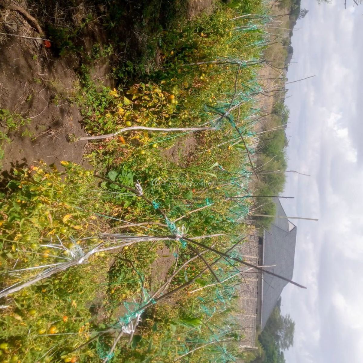 Prime Land for Development, Juja Farm Gikumari, Juja, Kiambu, Land for Sale