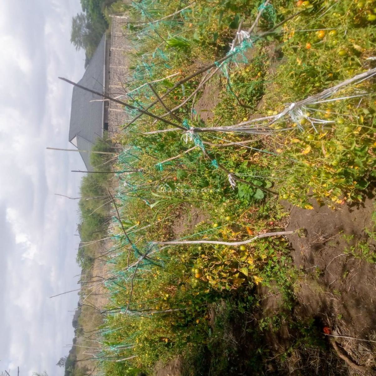Prime Land for Development, Juja Farm Gikumari, Juja, Kiambu, Land for Sale