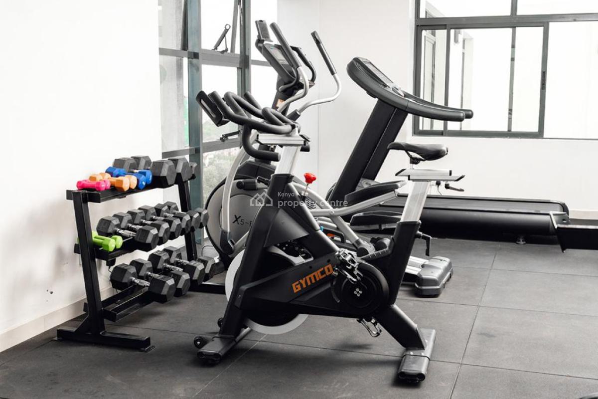 Spacious and Modern 1 Bedroom Furnished and Serviced Kilimani., Agwings Kodhek Road/kilimani Estate., Kilimani, Nairobi, Apartment for Rent