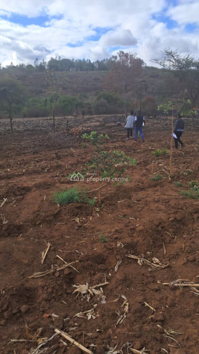 Prime Agricultural Land in a Serene Environment, Siakago Embu, Kagaari North, Embu, Mixed-use Land for Sale