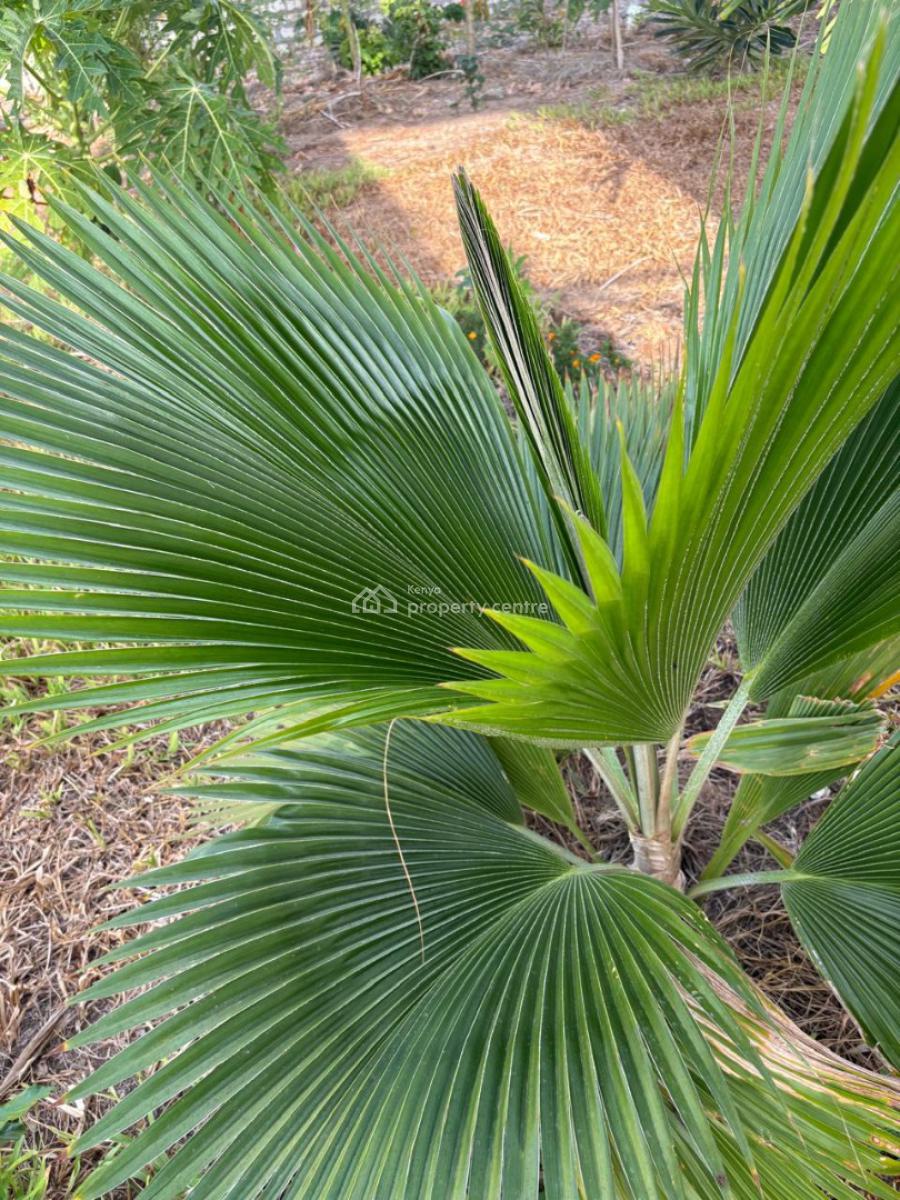Fully Furnished Villa Near The Beach, Mayungu Beach, Malindi Town, Kilifi, Detached Duplex for Rent