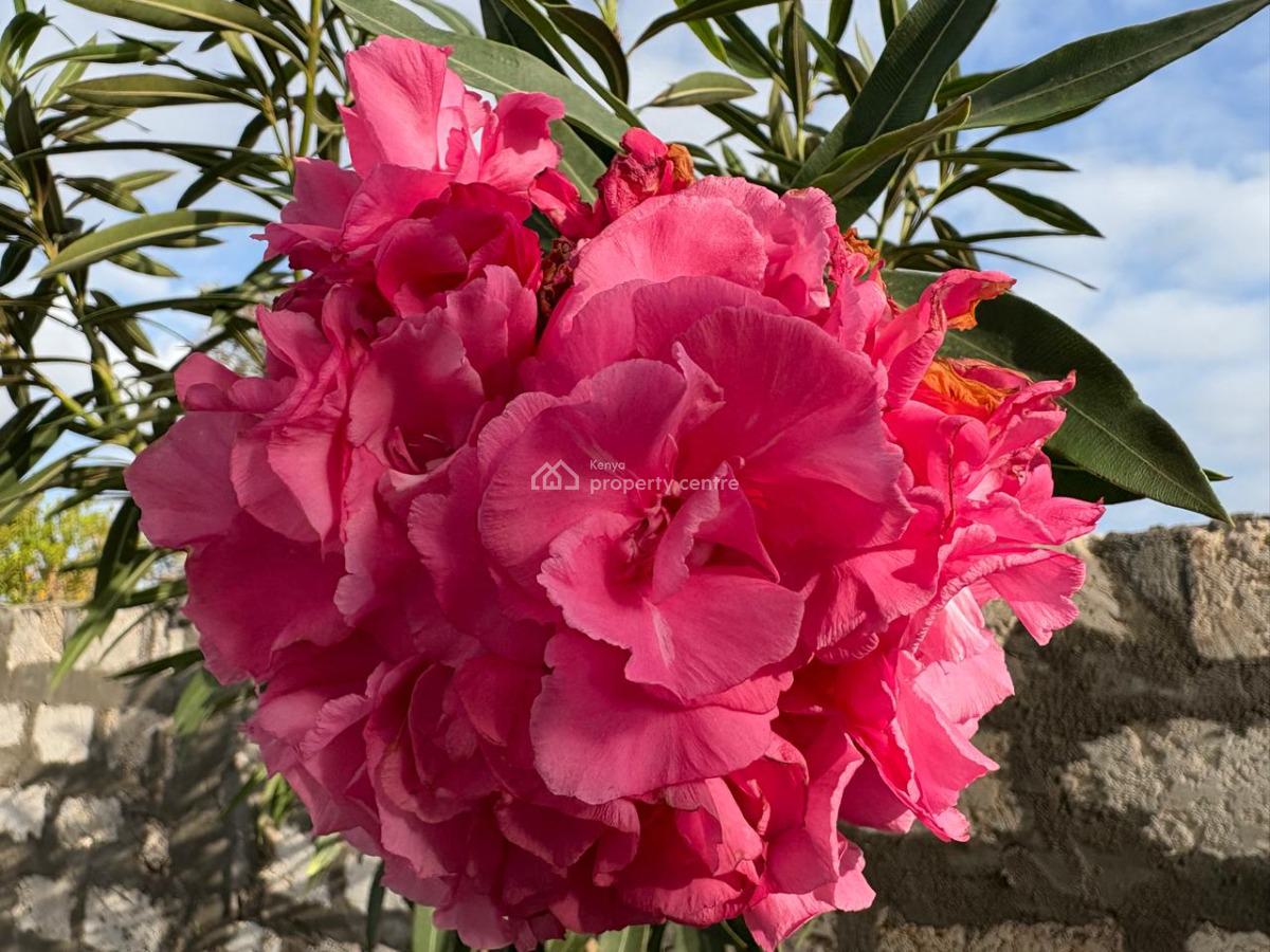 Fully Furnished Villa Near The Beach, Mayungu Beach, Malindi Town, Kilifi, Detached Duplex for Rent