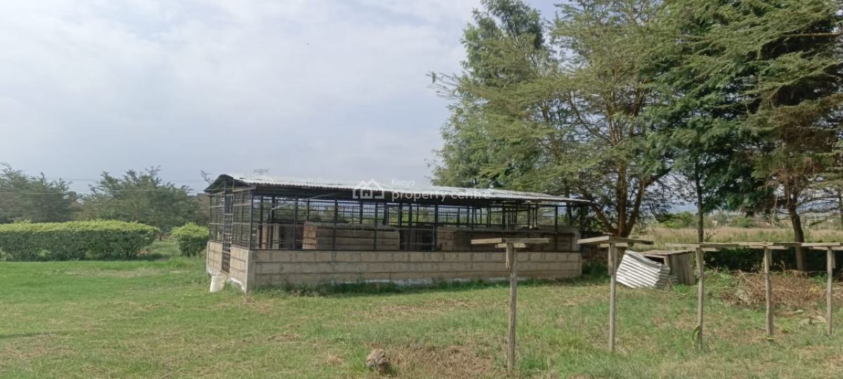 4  Bedroom All Ensuite House Naivasha Spacious Bedrooms,loun, Moi South Lake Rd, Naivasha East, Nakuru, Townhouse for Sale