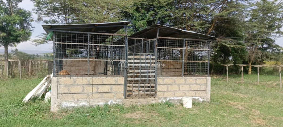 4  Bedroom All Ensuite House Naivasha Spacious Bedrooms,loun, Moi South Lake Rd, Naivasha East, Nakuru, Townhouse for Sale