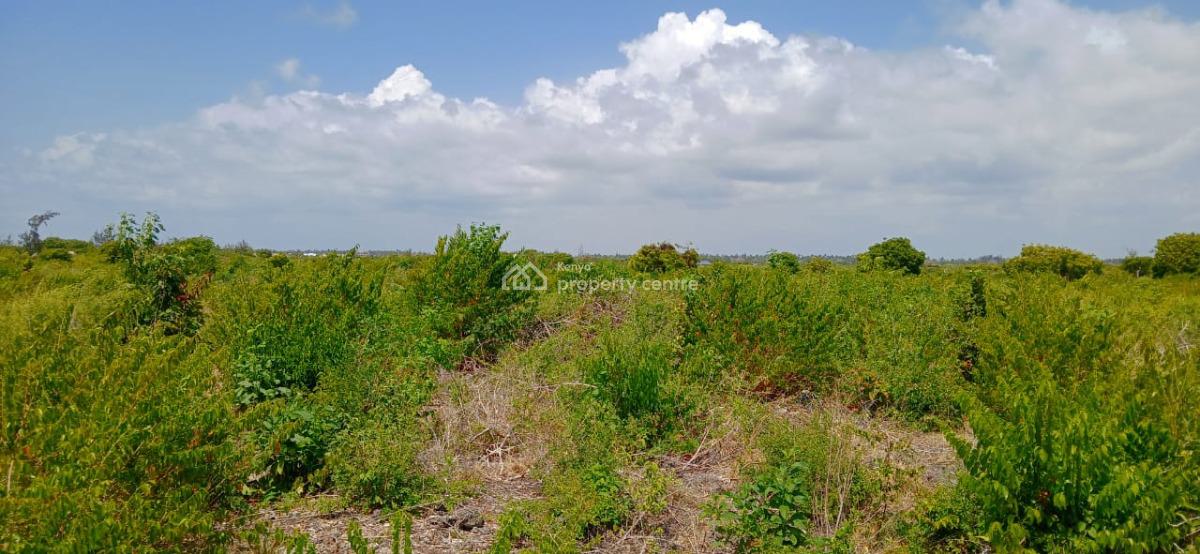 Prime 12 Acres Land with Flexible Subdivision Options, Watamu, Kilifi, Land for Sale