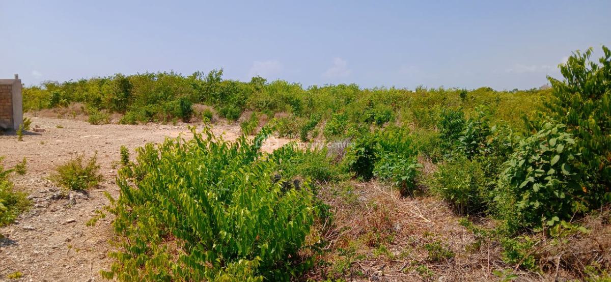 Prime 12 Acres Land with Flexible Subdivision Options, Watamu, Kilifi, Land for Sale