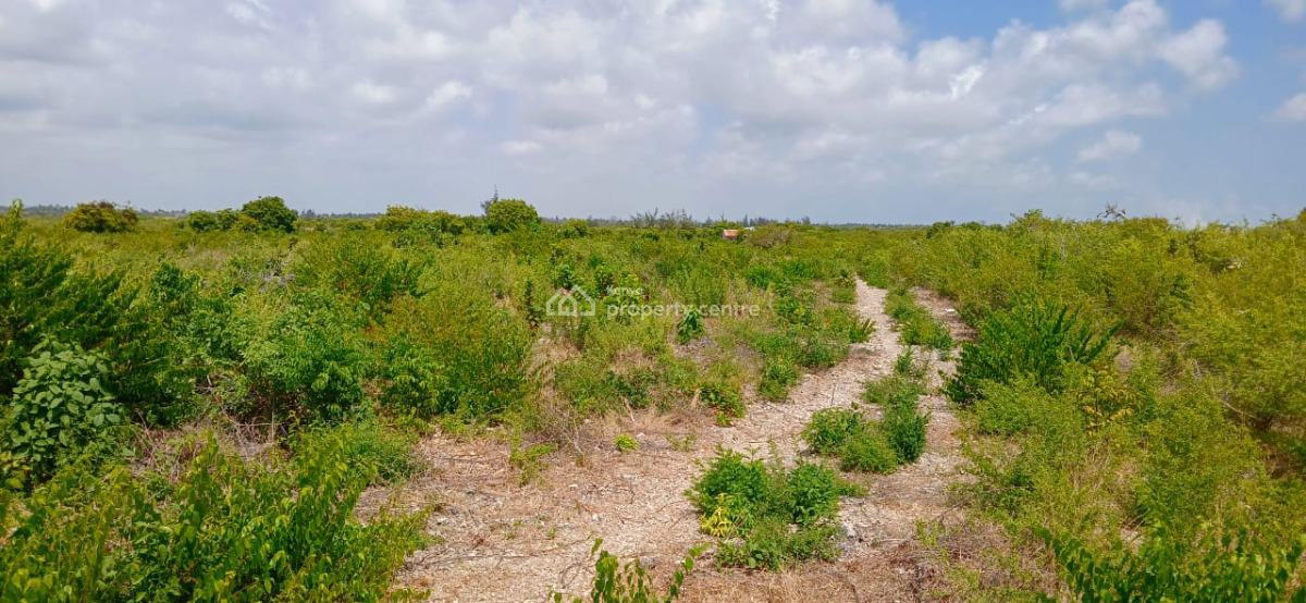 Prime 12 Acres Land with Flexible Subdivision Options, Watamu, Kilifi, Land for Sale