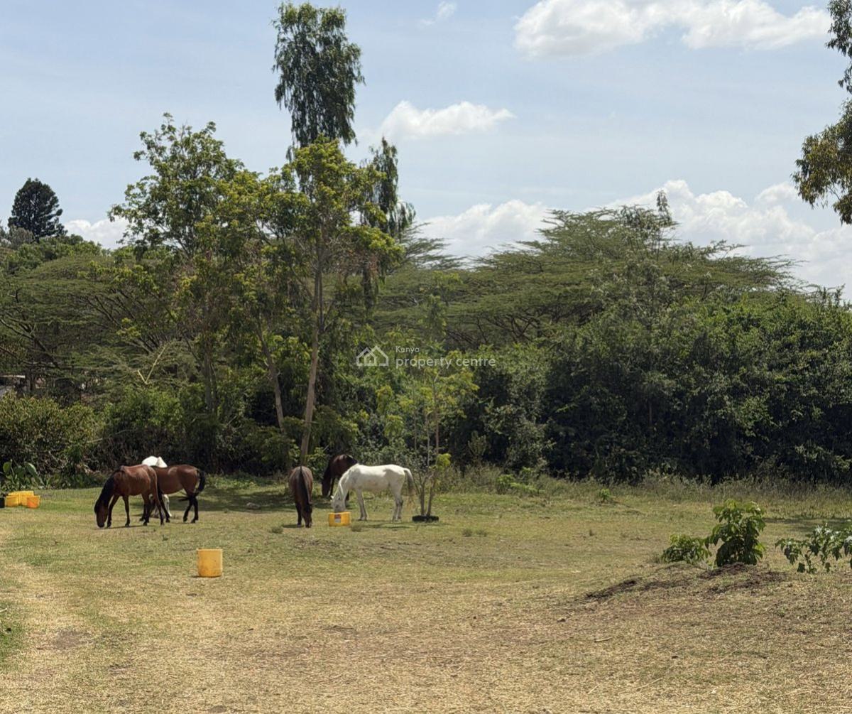 One Acre Karen, Karen, Nairobi, Land for Sale