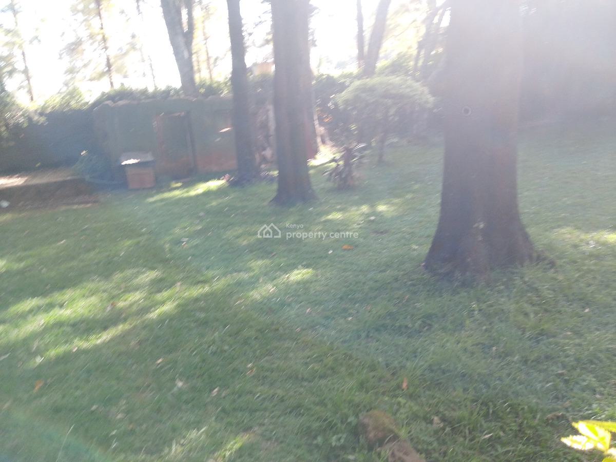 Lily Cottage, Karen, Karen, Nairobi, Semi-detached Bungalow for Rent