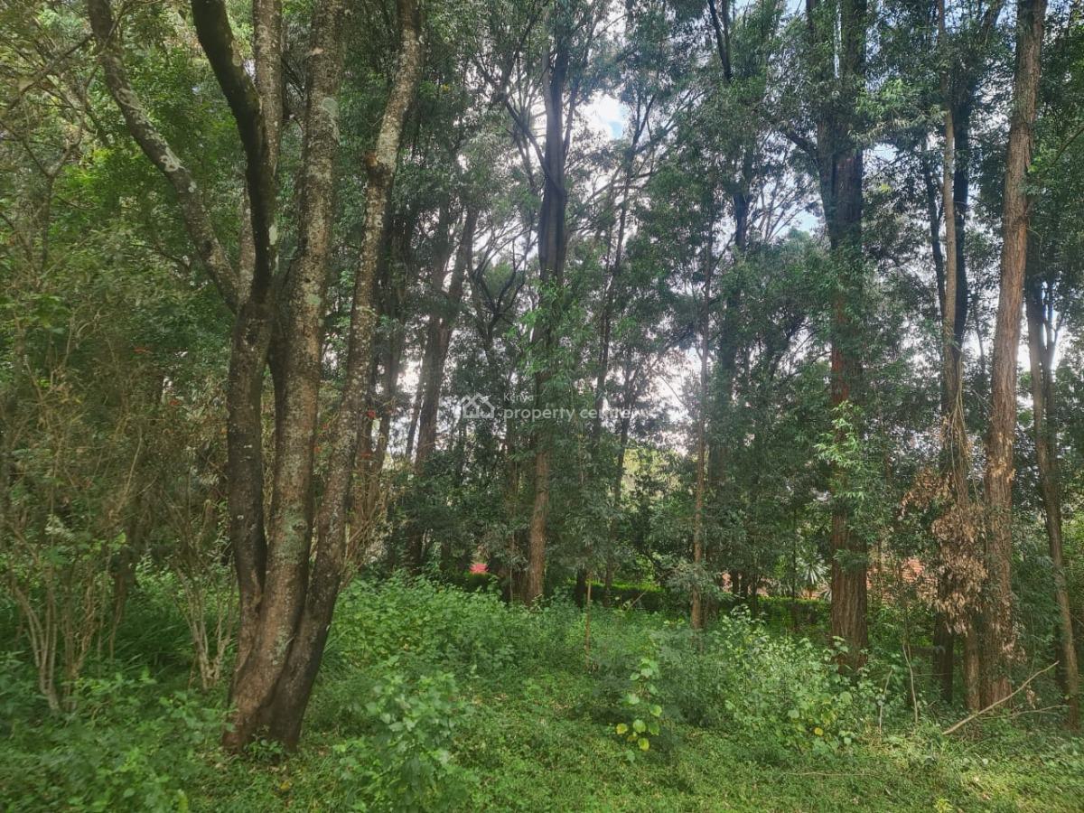 1 Acre Along Bogani Road Fertile Red Soil,mature Indigenous Trees Secu, Karen, Karen, Nairobi, Mixed-use Land for Sale