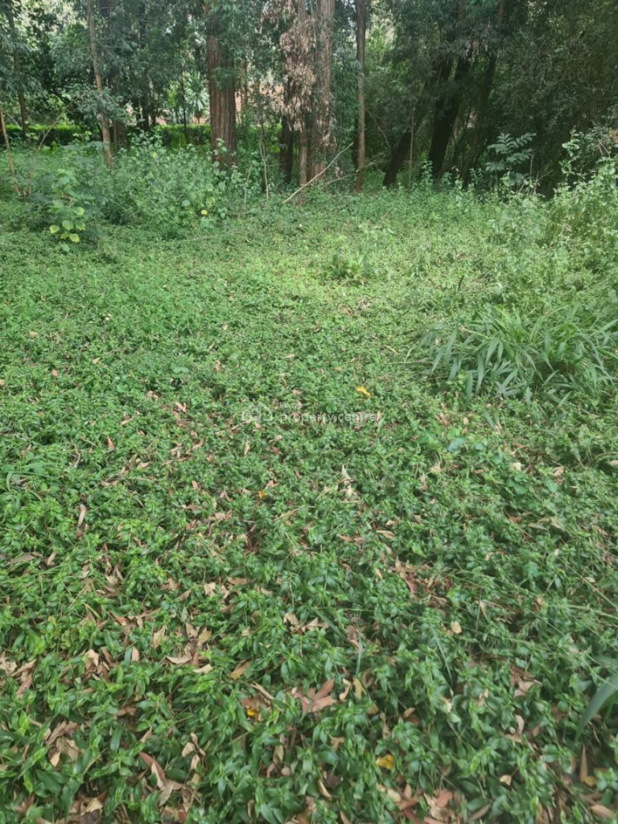 1 Acre Along Bogani Road Fertile Red Soil,mature Indigenous Trees Secu, Karen, Karen, Nairobi, Mixed-use Land for Sale