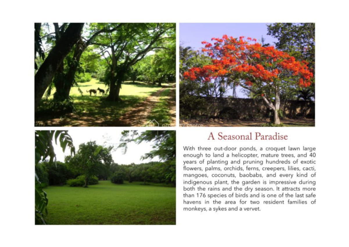 4 Bedrooms Villa Sitting on a 2.2 Acres Beach Property, Nyali Mombasa, Nyali, Mombasa, Townhouse for Sale