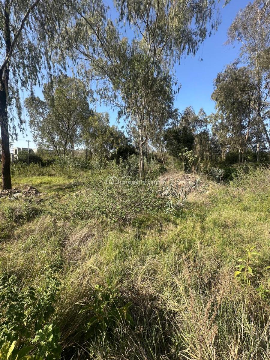 Prime 1 Acre Land with Ready Title Deed, Kcb, Karen, Nairobi, Land for Sale