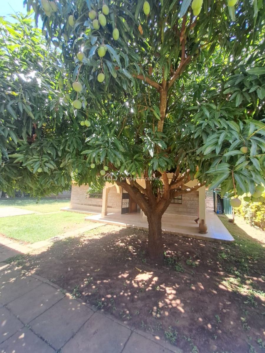 Cozy 3 Bedroom House in a Serene Environment, Karen Hardy, Karen, Nairobi, Detached Bungalow for Rent