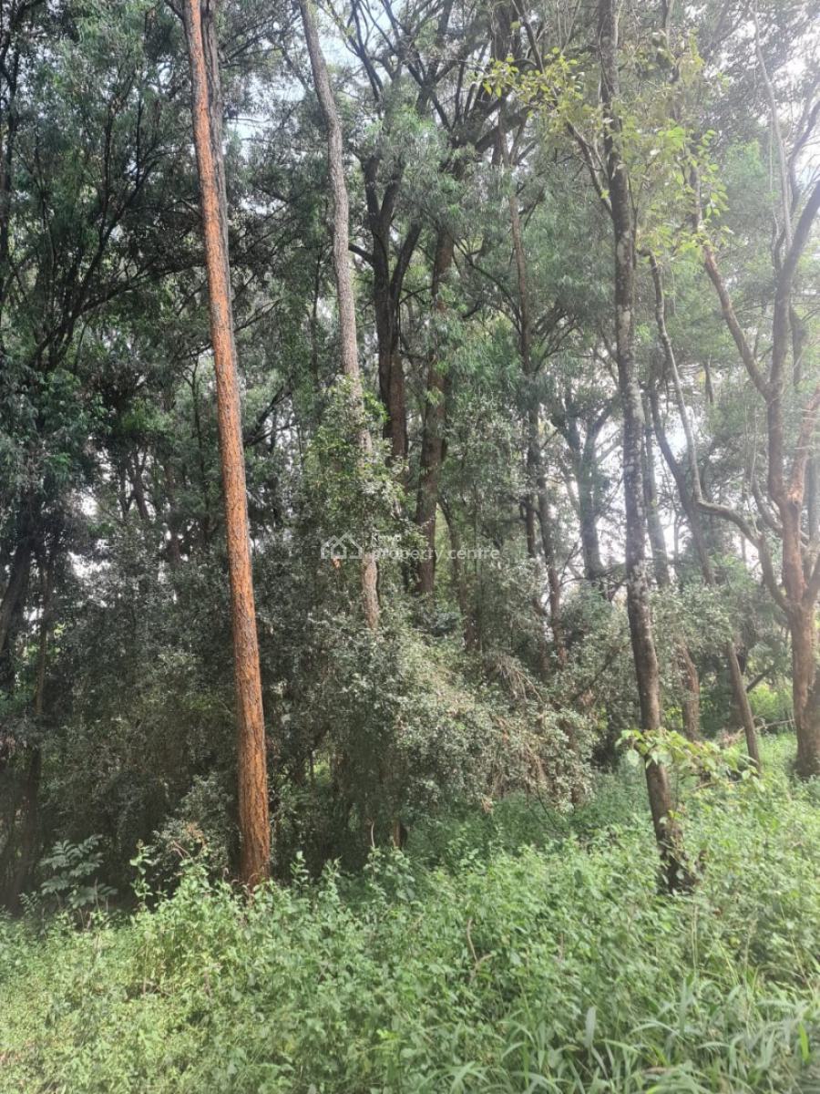 1 Acre Along Bogani Road Fertile Red Soil,mature Indigenous Trees Secu, Karen, Karen, Nairobi, Mixed-use Land for Sale