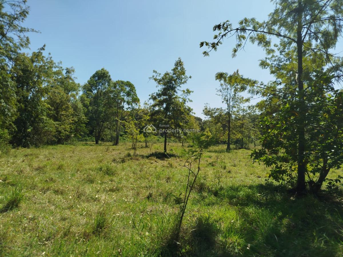 Prime 5 Acres Commercial & Residential Land with Ready Documentation, Touching Dagorreti Road, Karen, Nairobi, Land for Sale