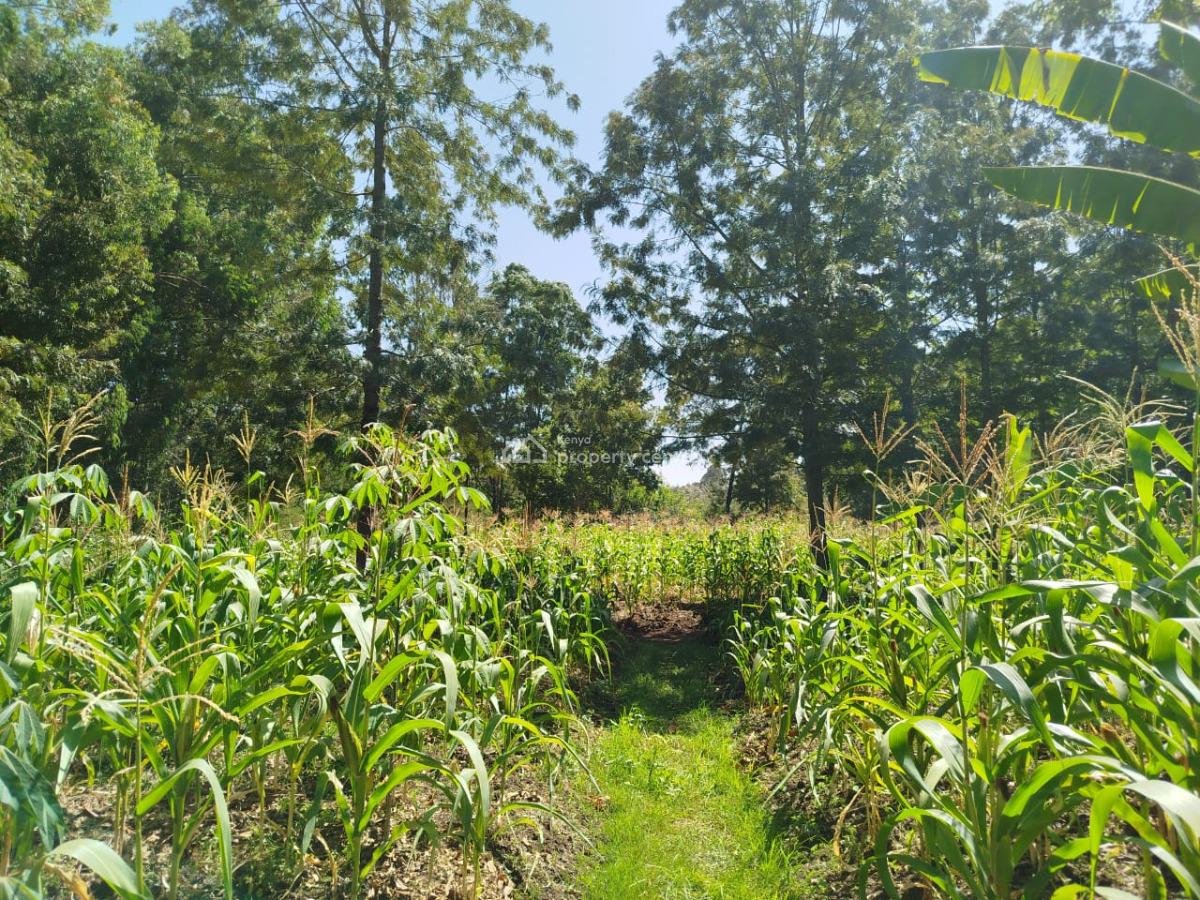 Prime 5 Acres Commercial & Residential Land with Ready Documentation, Touching Dagorreti Road, Karen, Nairobi, Land for Sale