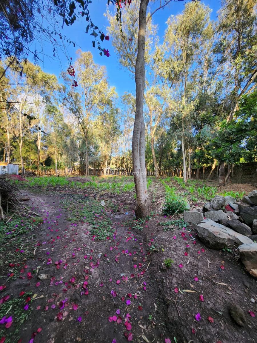 5 Bedroom House, Karen, Karen, Nairobi, Office Space for Rent