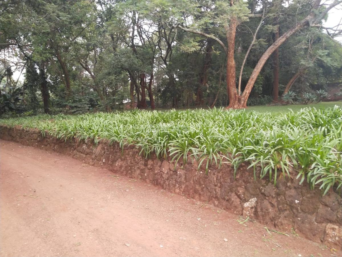 4 Bedroom Old Colonial House on 2acres Touching Muthaiga Road., Old Muthaiga, Muthaiga, Nairobi, House for Sale