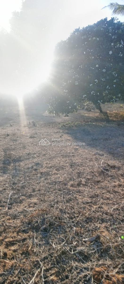 Beach Front Land, Bofa Beach, Sokoni, Kilifi, Mixed-use Land for Sale