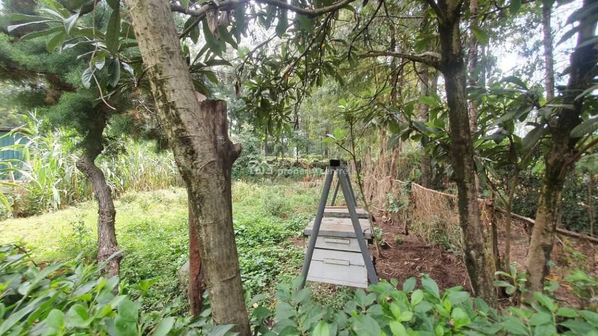 Standalone 4bedroom Home All Ensuite with Dsq on Half Acre, Karen, Nairobi, House for Sale