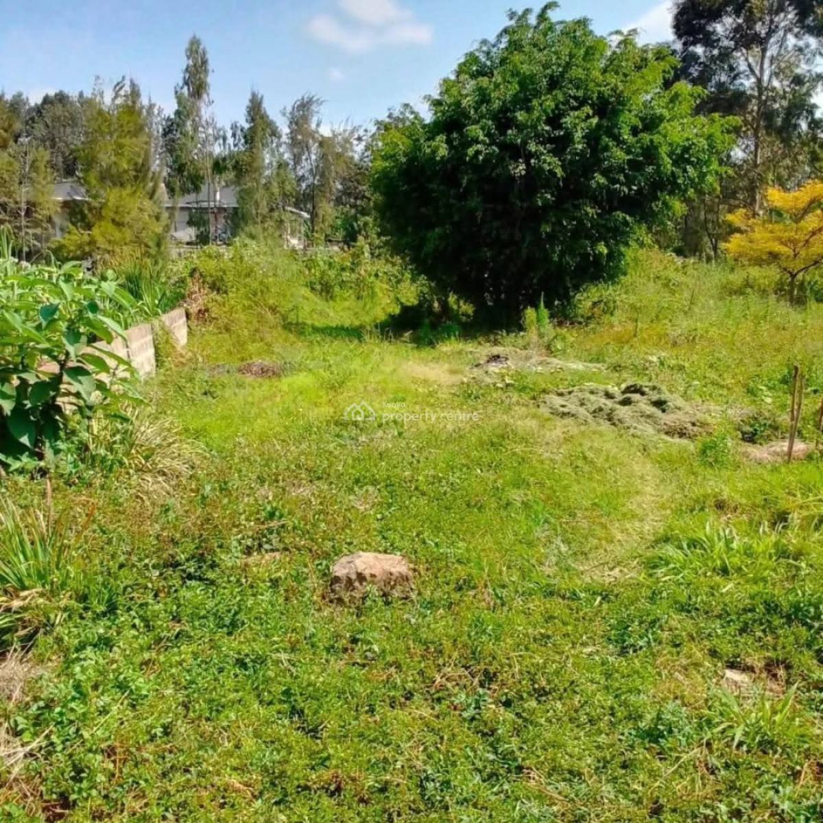 Elegant 4bedroom Home All Ensuite with Dsq on Half Acre, Karen, Nairobi, House for Sale