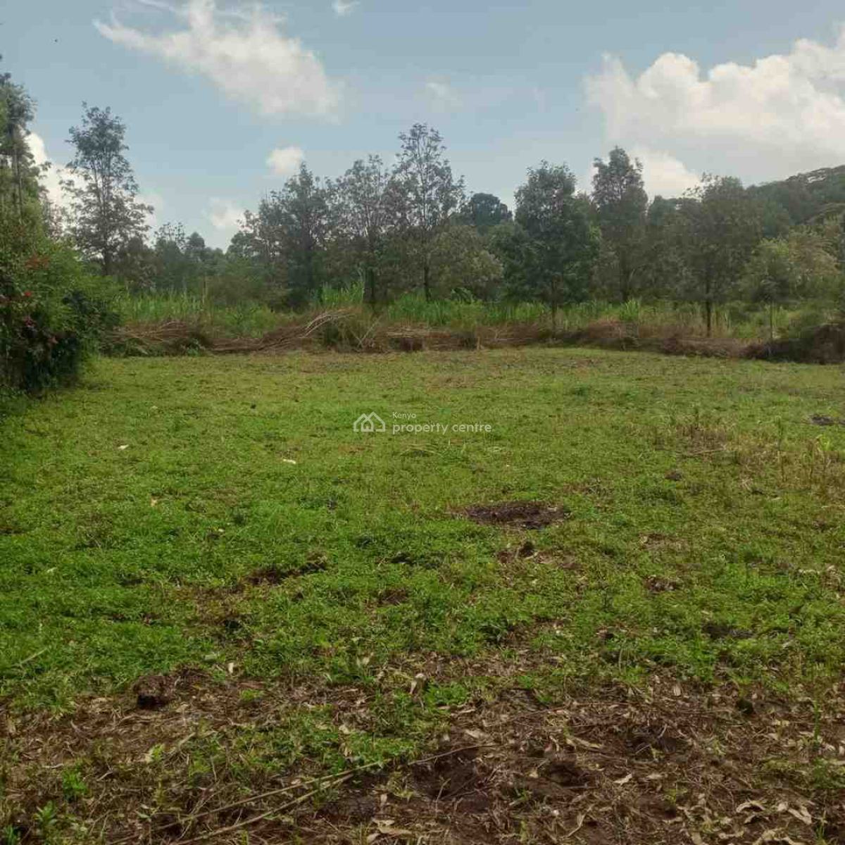 1/4 Acre, Lemiso Road, Ngong, Kajiado, Residential Land for Sale