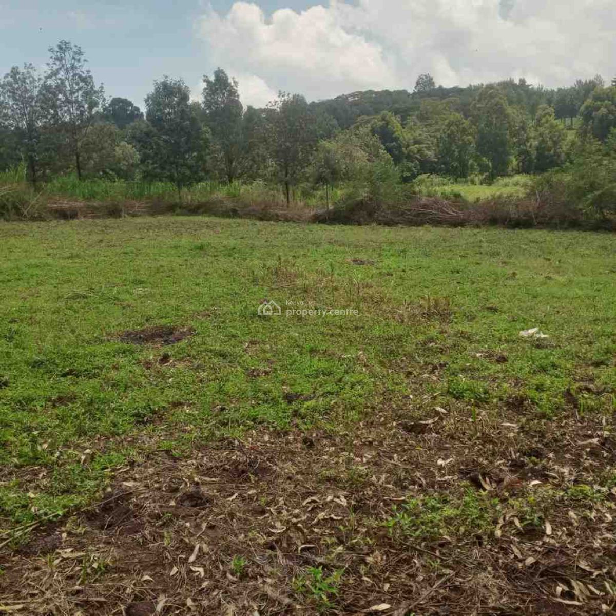 1/4 Acre, Lemiso Road, Ngong, Kajiado, Residential Land for Sale