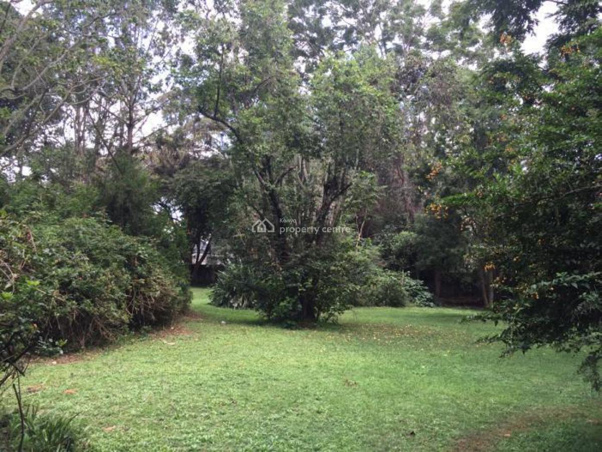 Available Immediately -- Premium 3-bedroom Furnished Apartment in Gigir, Gigiri, Muthaiga, Nairobi, House for Rent