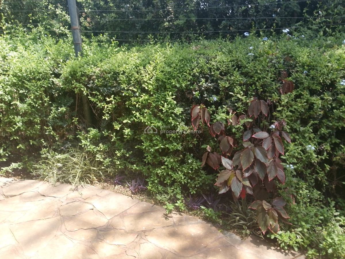 1 Bedroom Furnished, Karen, Karen, Nairobi, Detached Bungalow for Rent