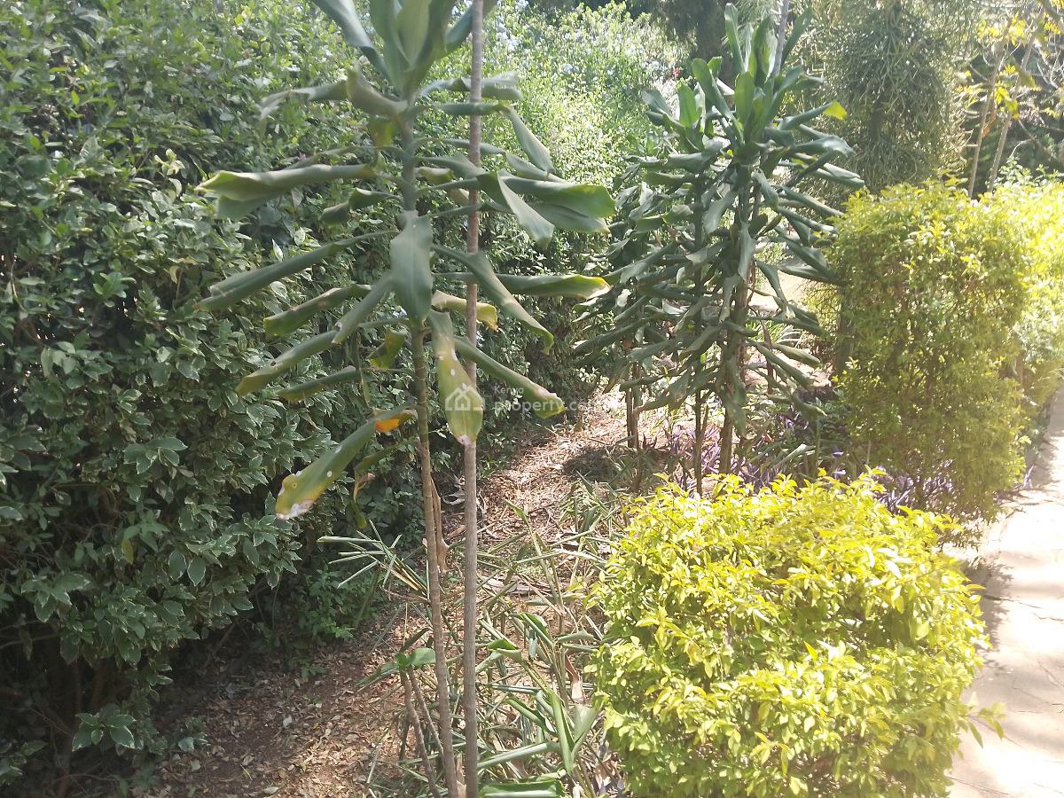 1 Bedroom Furnished, Karen, Karen, Nairobi, Detached Bungalow for Rent