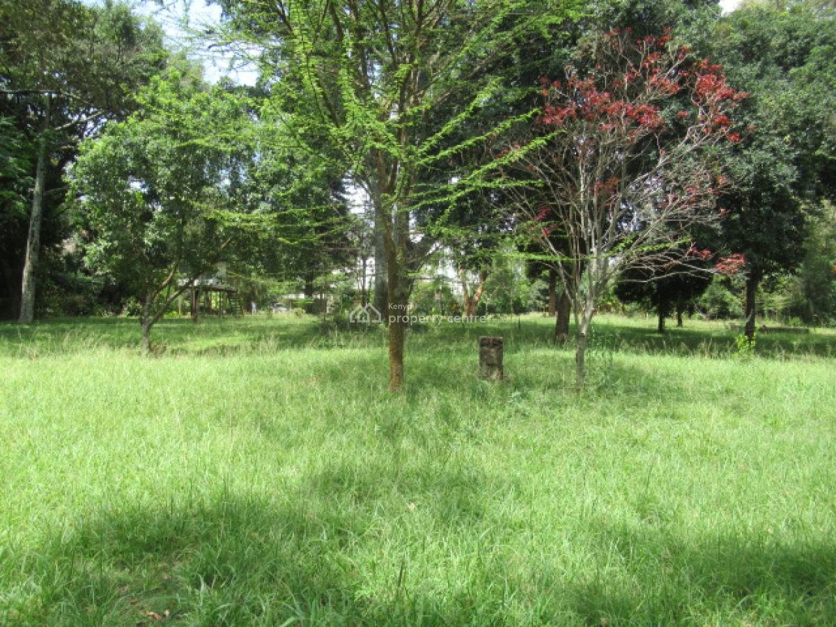 1-acre Plot for Development, Karen Hardy, Karen, Nairobi, Land for Sale