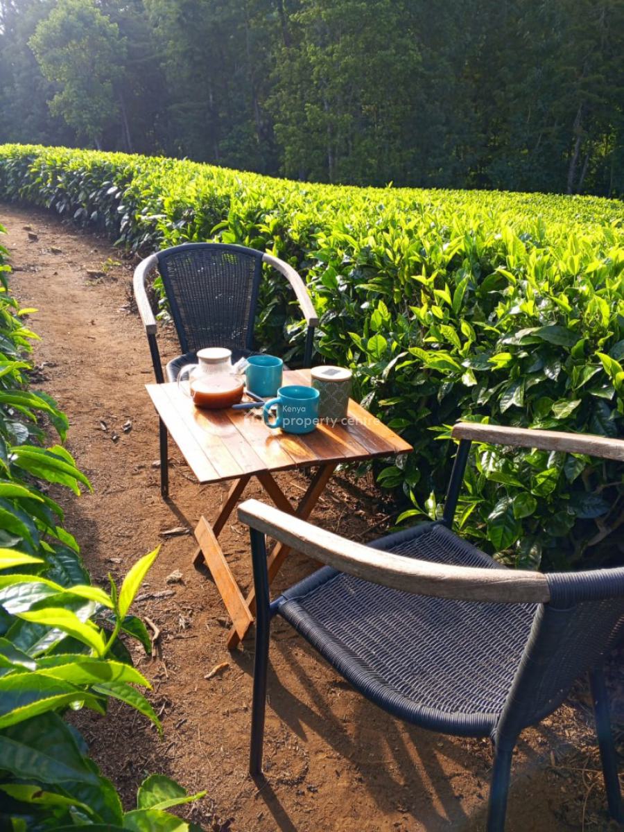 Tastefully Furnished 5 Bedroom House, Near Meru National Park, Municipality, Meru, Detached Bungalow Short Let