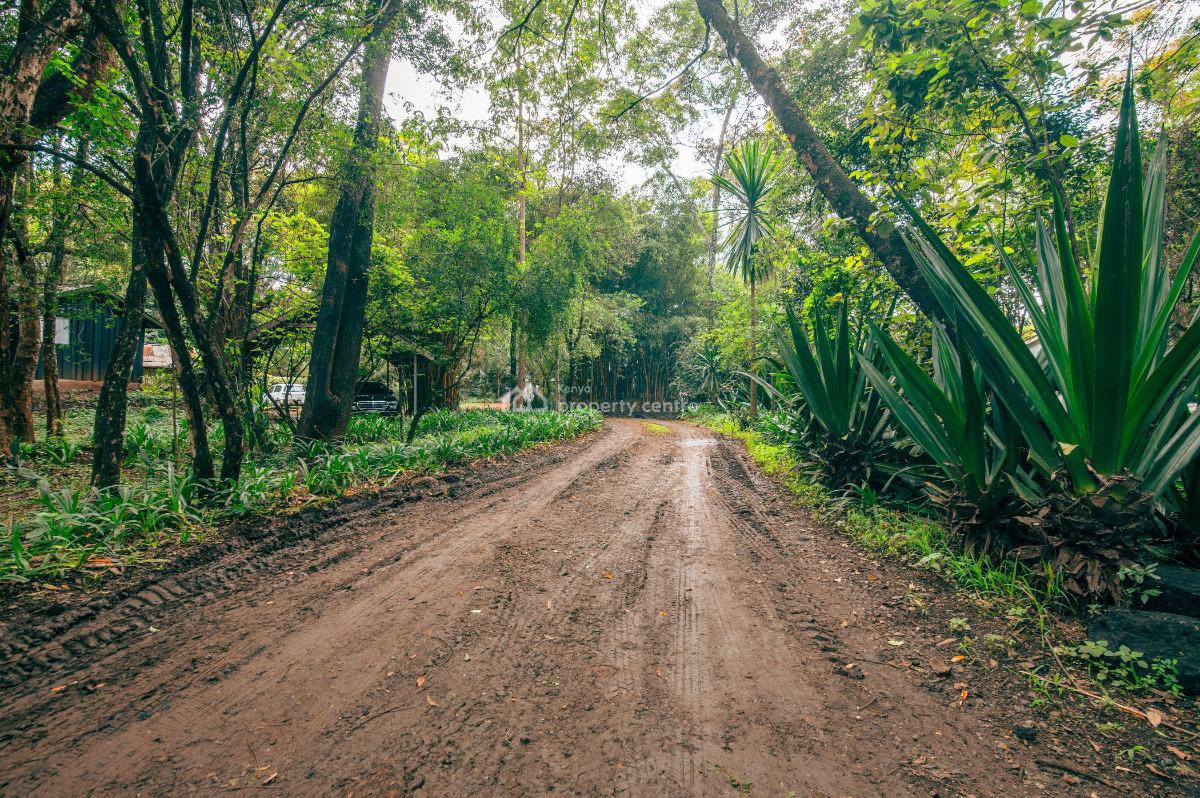 Prime 5 Acre Development Plot in Kitisuru, Kitisuru Road, Kitisuru, Nairobi, Residential Land for Sale