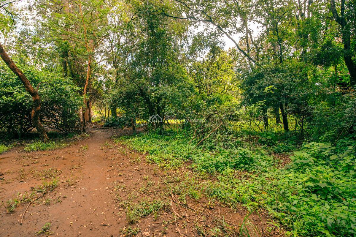 Prime 5 Acre Development Plot in Kitisuru, Kitisuru Road, Kitisuru, Nairobi, Residential Land for Sale