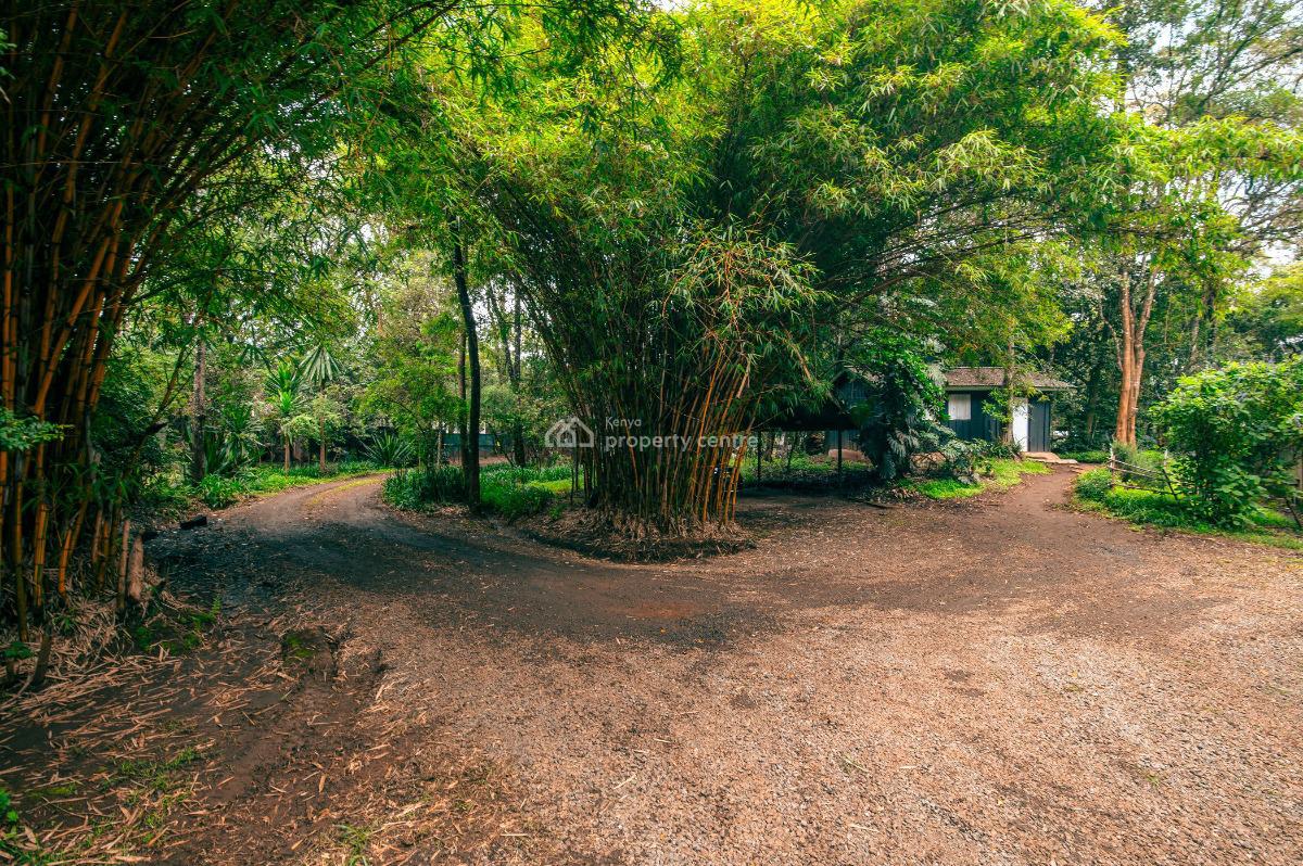 Prime 5 Acre Development Plot in Kitisuru, Kitisuru Road, Kitisuru, Nairobi, Residential Land for Sale