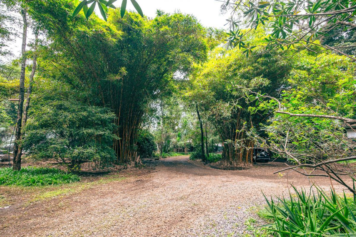 Prime 5 Acre Development Plot in Kitisuru, Kitisuru Road, Kitisuru, Nairobi, Residential Land for Sale