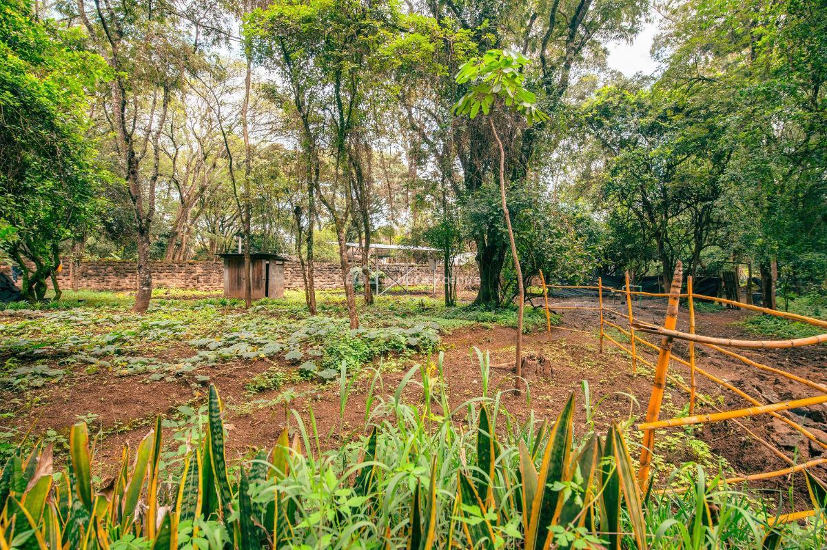 Prime 5 Acre Development Plot in Kitisuru, Kitisuru Road, Kitisuru, Nairobi, Residential Land for Sale