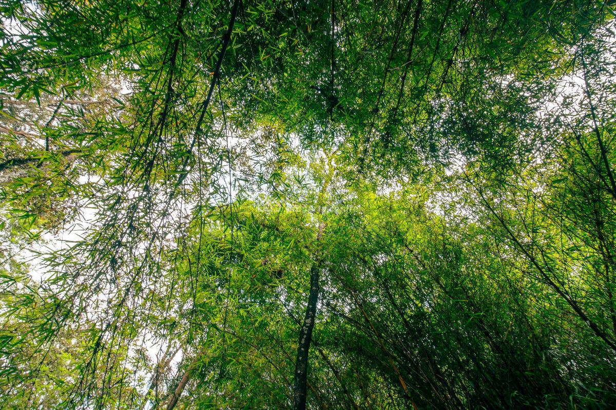 Prime 5 Acre Development Plot in Kitisuru, Kitisuru Road, Kitisuru, Nairobi, Residential Land for Sale