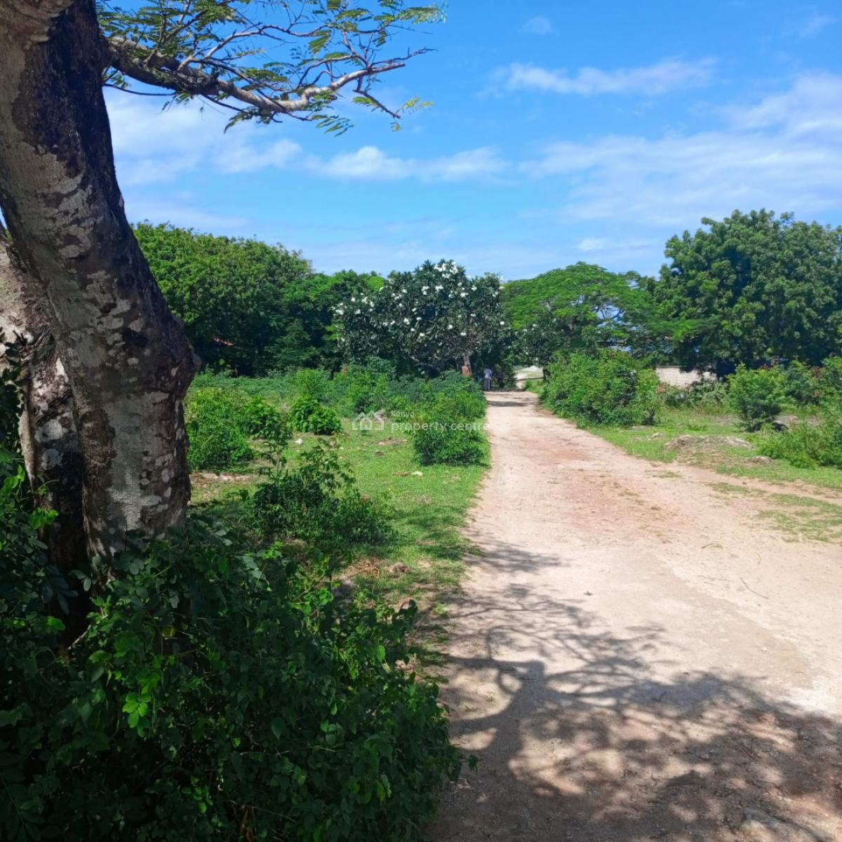 Prime 1 Acre Beach Plot, Bofa Road, Bofa Beach, Sokoni, Kilifi, Land for Sale