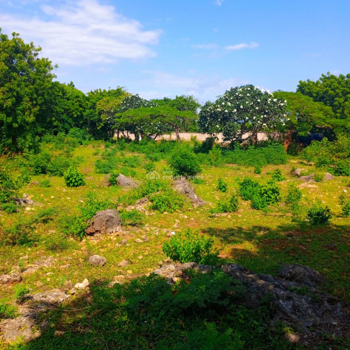 Bofa Road, Kilifi, Bofa Road, Kilifi, Malindi Town, Kilifi, Commercial Land for Sale