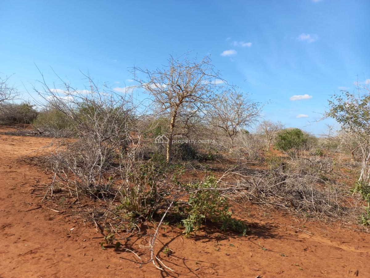 5 Acre Farmland in Malindi , Bombi, Bombi, Malindi Town, Kilifi, Mixed-use Land for Sale