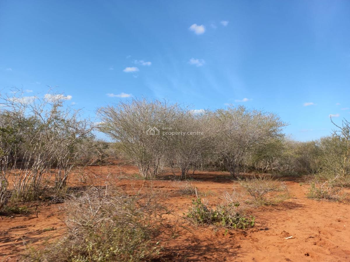 5 Acre Farmland in Malindi , Bombi, Bombi, Malindi Town, Kilifi, Mixed-use Land for Sale
