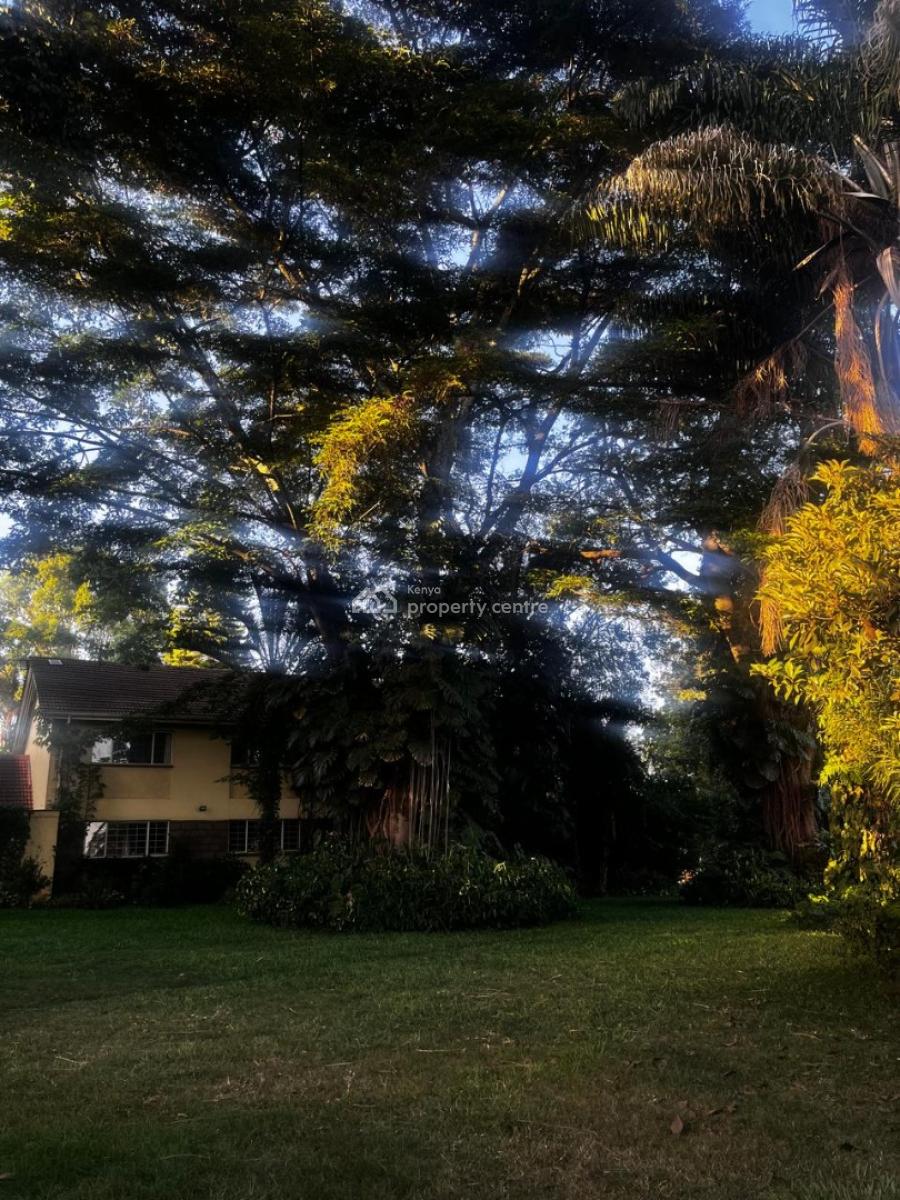 Prime 1.2 Acre Property in Runda,near Qatar Embassy, Runda Drive, Runda, Westlands, Nairobi, Mixed-use Land for Sale