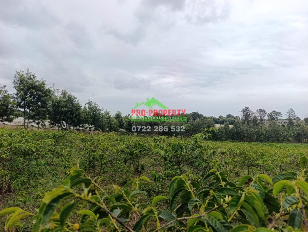 Nairobi County Prime Development Land, Muhuri Road, Dagoretti, Karen, Nairobi, Residential Land for Sale