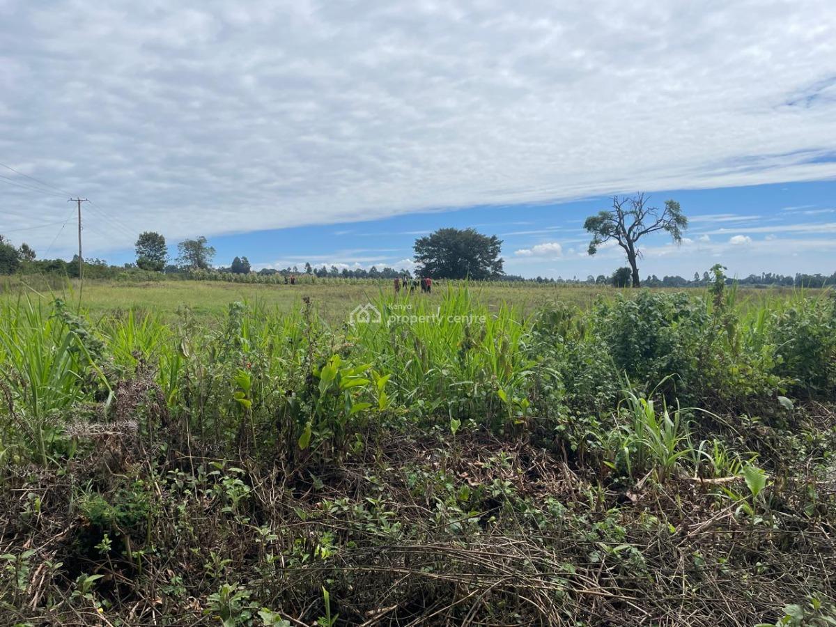 1 Prime Acre Near Kentmere in Tigoni, Off Tigoni-limuru Road, Tigoni, Kiambu, Mixed-use Land for Sale