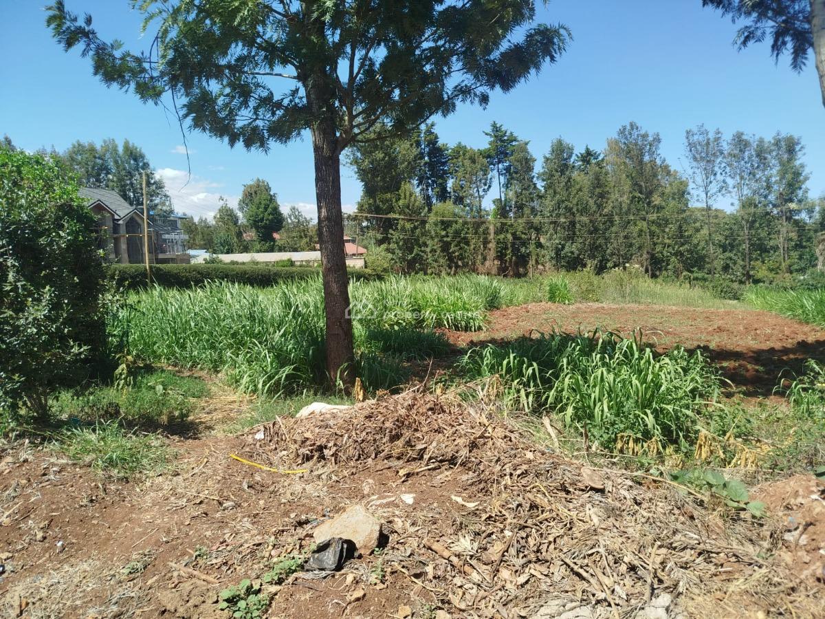 Prime Land with Ready Documentation, Rhino Park, Karen, Nairobi, Land for Sale